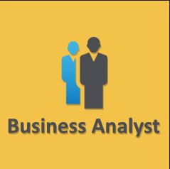 Business Analyst