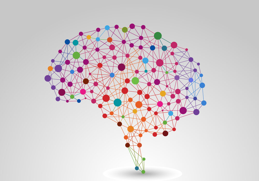 College Project may decide your job