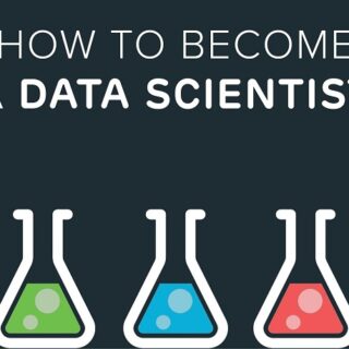 data scientist
