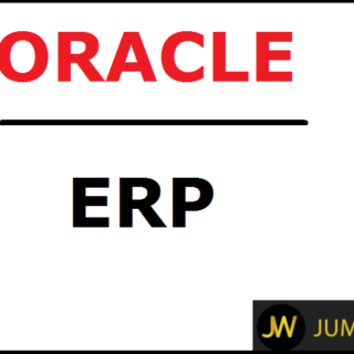 Oracle ERP Support Consultant