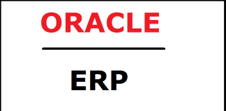 Oracle ERP Support Consultant