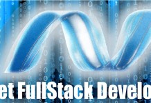 dotnet full stack developer