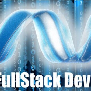 dotnet full stack developer