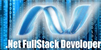 dotnet full stack developer
