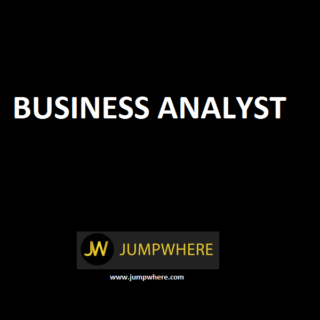 Business analyst Business Analyst – Reporting and Visualization - PACE