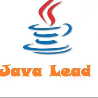 java lead Java Lead/Developer job openings