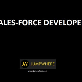 salesforce developer