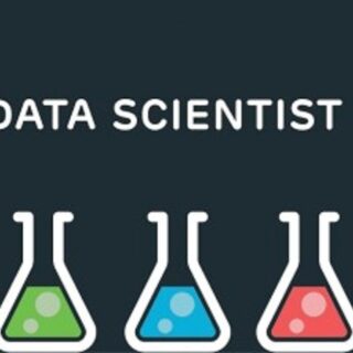 data scientist