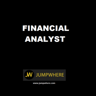 financial analyst