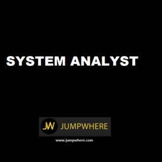 system_analyst