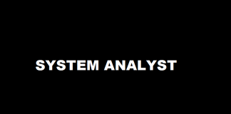 system_analyst
