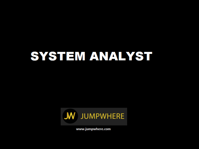system_analyst