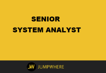 senior system analyst