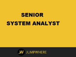 senior system analyst