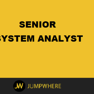 senior system analyst