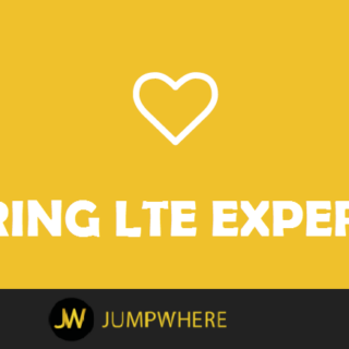 LTE Senior Developer / Lead / Architect Job openings