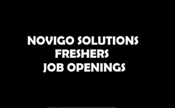 Freshers job Openings at Novigo Solutions, Mangalore