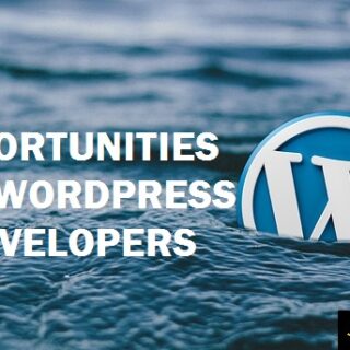 Frontend WordPress Developer Job Openings