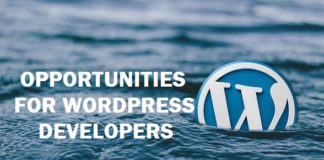Frontend WordPress Developer Job Openings