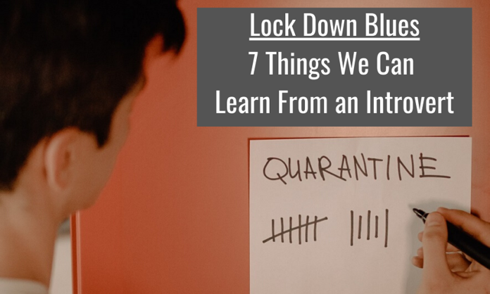 Lock Down Blues 7 Things We Can Learn From the Introverts