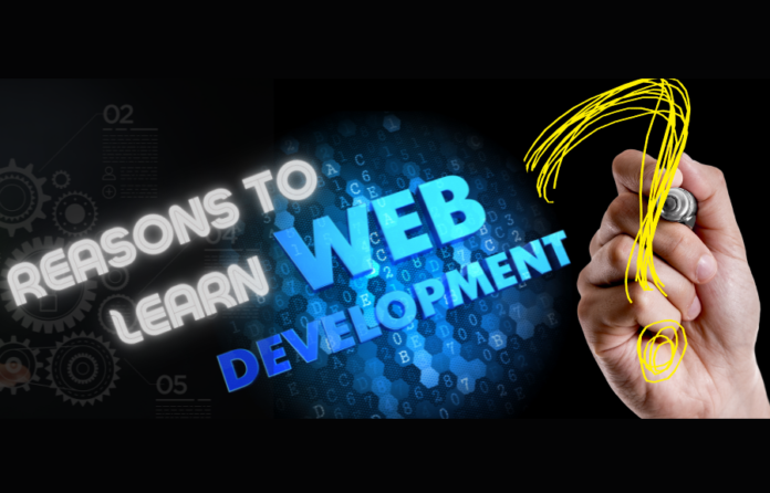 8 Reasons to Learn Web Development