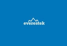 Software Developer Job Openings at Everestek