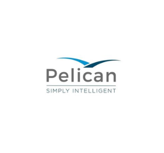 Freshers Jobs -Trainee Software Engineer Job Opening at Pelican, Mumbai