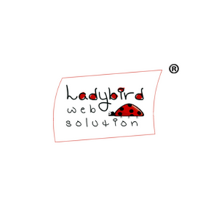 Internship Jobs - Software Engineer Intern Job Opening at Ladybird Web Solution