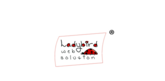 Internship Jobs - Software Engineer Intern Job Opening at Ladybird Web Solution