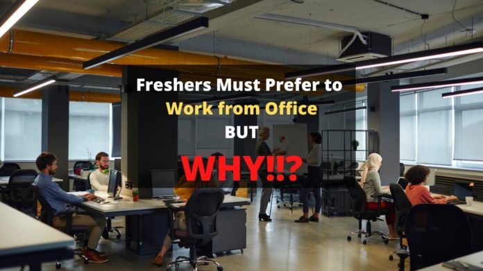 freshers must prefer to Work from Office - jumpwhere