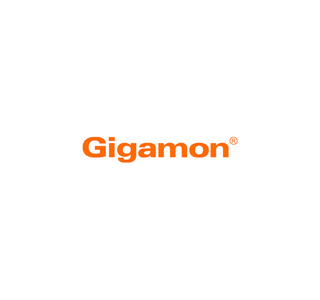 Freshers Job - Software Engineer Jobs Opening at Gigamon