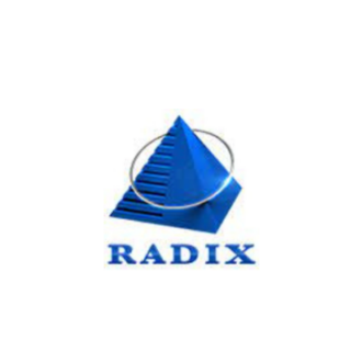 Freshers Jobs Vacancy – Trainee Software Engineer Job Opening at Radix