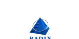 Freshers Jobs Vacancy – Trainee Software Engineer Job Opening at Radix