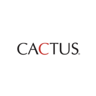 Internship Jobs Vacancy – Full Stack Intern Job Opening at Cactus