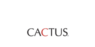 Internship Jobs Vacancy – Full Stack Intern Job Opening at Cactus