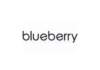 Internship Jobs Vacancy – SE Intern Job Opening at Blueberry