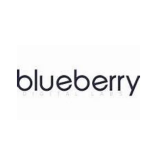 Internship Jobs Vacancy – SE Intern Job Opening at Blueberry