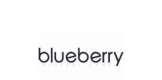 Internship Jobs Vacancy – SE Intern Job Opening at Blueberry