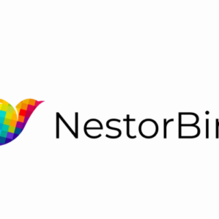 Freshers Jobs Vacancy - Developer Job Openings at NestoBird