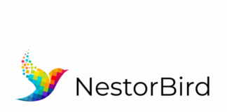 Freshers Jobs Vacancy - Developer Job Openings at NestoBird