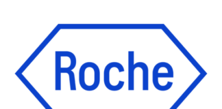 Internship Jobs Vacancy - D&A QA Intern Job Opening at Roche