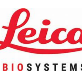 Internship Jobs Vacancy – Intern Job Opening at Leica