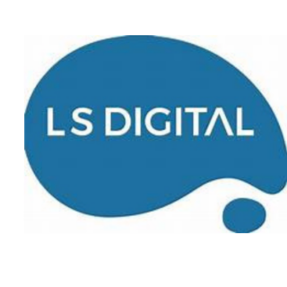 Experienced Jobs Vacancy - Data Analyst Job Opening at LS Digital