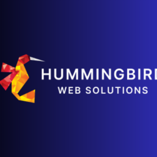 Software Developer Job Opening at Hummingbird Web Solutions
