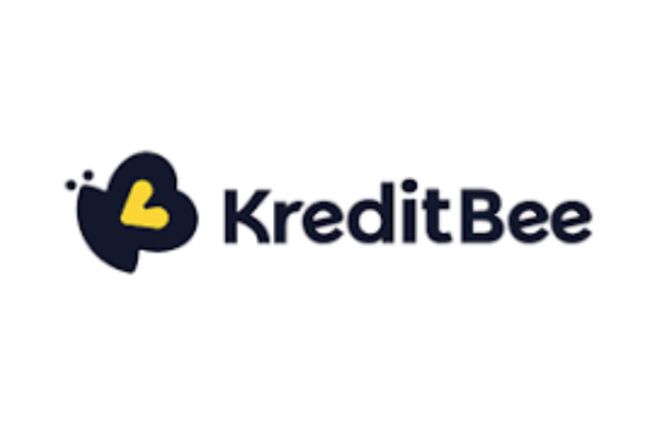 Software-Developer Job Opening at kreditbee