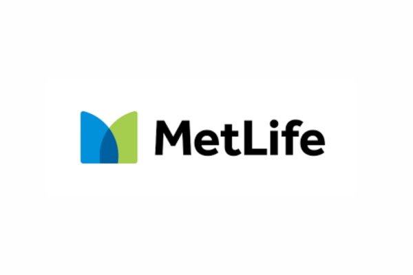 Jr. Software Platform Engineer Job Opening at MetLife