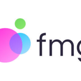 Software Engineer Intern job opening at FMG