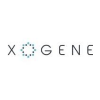 Explore Exciting Fresher & Experienced Roles at Xogene