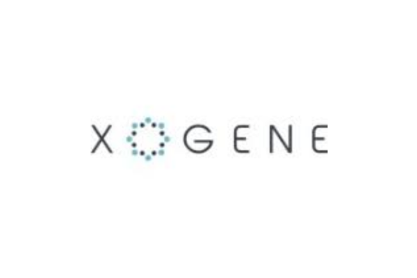 Explore Exciting Fresher & Experienced Roles at Xogene